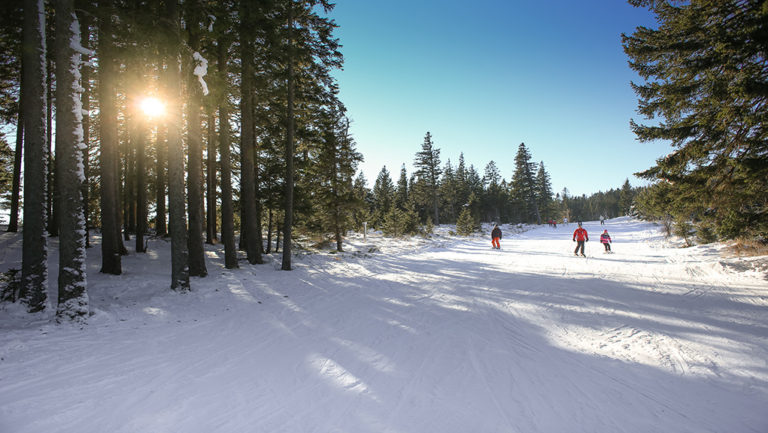 “Snowkidz στο χιονοδρομικό Βίγλας – Πισοδερίου