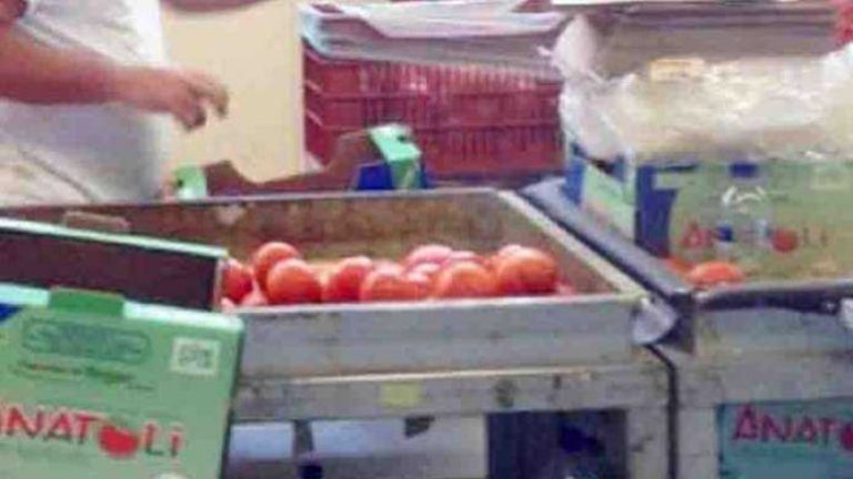 Κρήτη: Λύση για τη μεταφορά των προϊόντων τους αναζητούν οι αγρότες