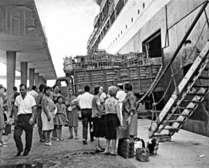 Η τραγωδία στη Φαλκονέρα: Τα ντοκουμέντα ενός εγκλήματος