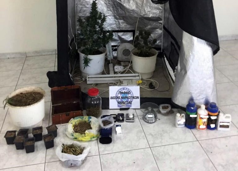 Καρδίτσα: Συνελήφθη 35χρονος για καλλιέργεια και διακίνηση κάνναβης