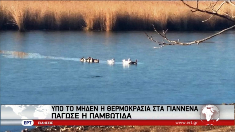 Πάγωσαν τμήματα της Παμβώτιδας και του Αώου (video)