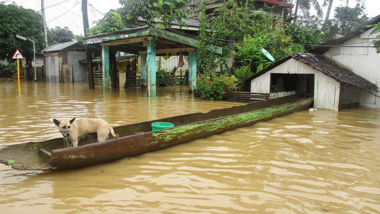 Δεκάδες χιλιάδες φεύγουν από τις ανατολικές Φιλιππίνες λόγω του τυφώνα Νοκ Τεν