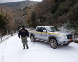Καλαμάτα: Χωρίς προβλήματα από τη χιονόπτωση