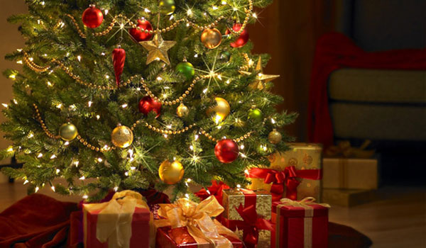 Χανιά: Το Σάββατο η φωταγώγηση του Χριστουγεννιάτικου δέντρου στον Δήμο Κισσάμου