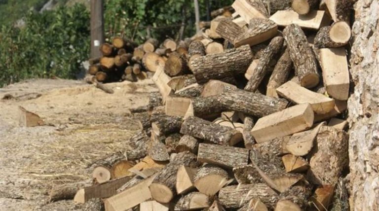 Δωρεάν διάθεση ξυλείας για την κάλυψη ατομικών αναγκών δημοτών Καρδίτσας