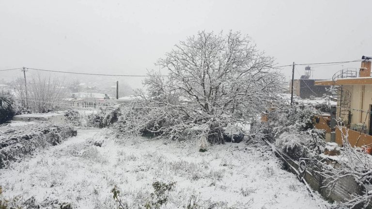 Ρέθυμνο: Μάχη με τον παγετό και το κρύο