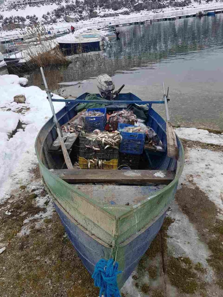 Πρέσπα: Σύλληψη 4 αλλοδαπών για παράνομη αλιεία στη Μεγάλη Πρέσπα