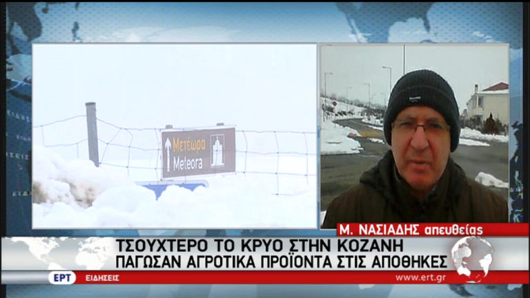 Ζημιές στη Δ. Μακεδονία – Σχολεία της Φλώρινας χωρίς πετρέλαιο (video)