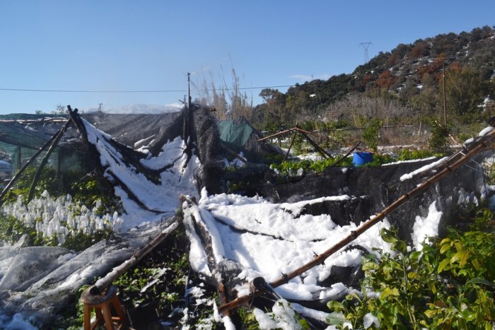 Δήλωση ζημιών από την  χιονόπτωση στο Δ. Πλατανιά