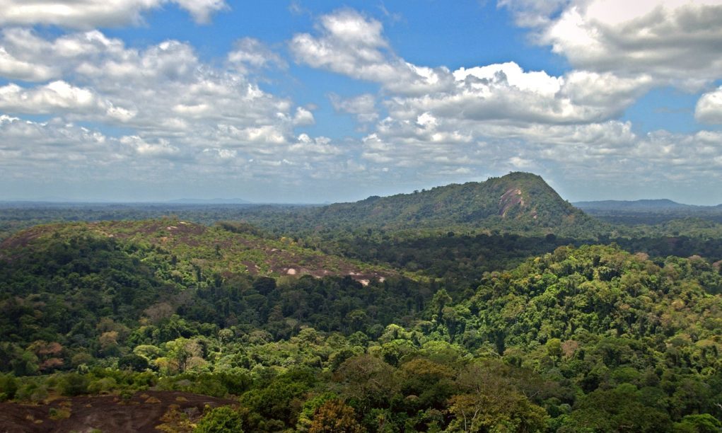 amazon_jungle_from_above