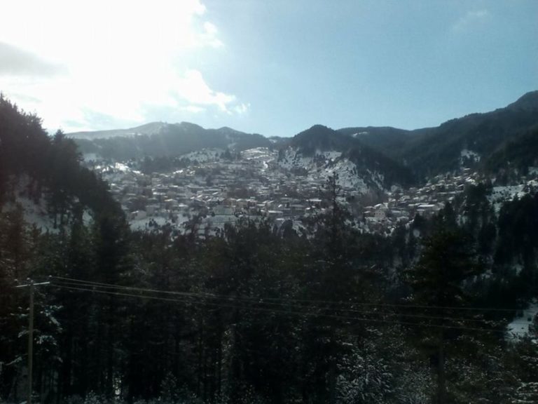 Πρωτοχρονιά στο Περιβόλι Γρεβενών