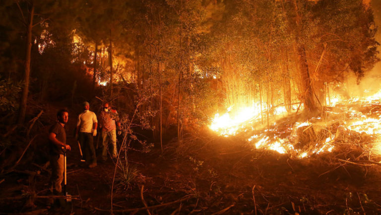 Καταστροφικές πυρκαγιές στη Χιλή με έξι νεκρούς και 1,9 εκατ. στρέμματα στάχτη