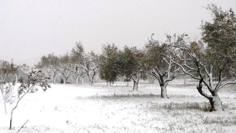 Δηλώσεις ζημιών από το χιονιά