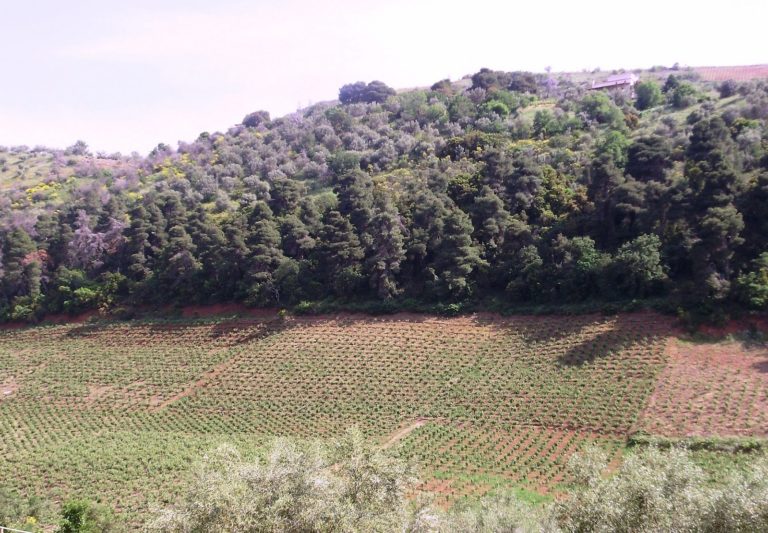 Aναρτήθηκαν δασικοί χάρτες από την Αποκεντρωμένη Διοίκηση Αιγαίου