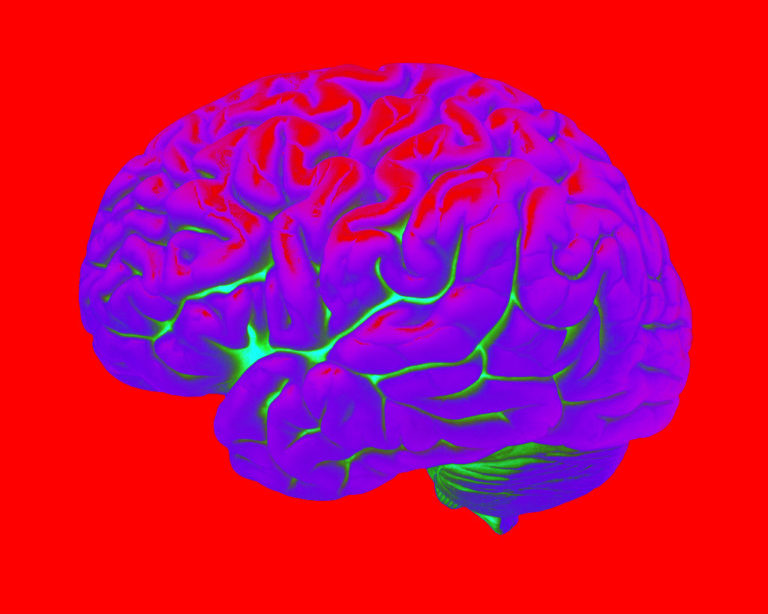 Ο εγκέφαλος μας διαφέρει, ανάλογα με τον τύπο της προσωπικότητάς μας