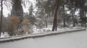 kavala-xioni1