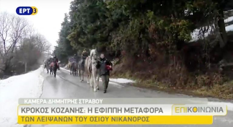 Οι καβαλάρηδες του κρόκου (video)