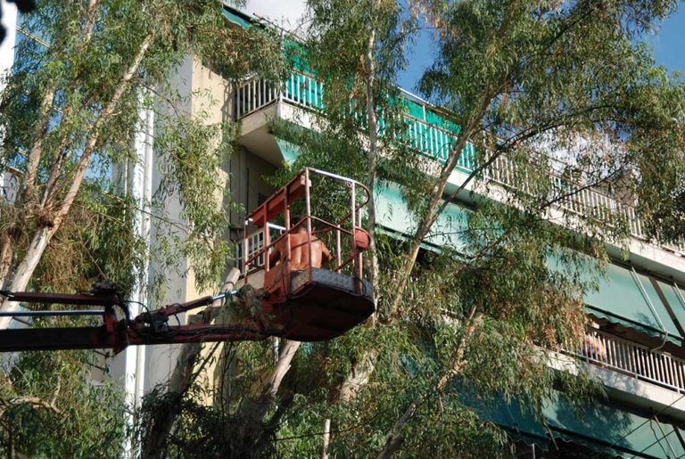 Δ. Πλατανιά: Κόψιμο κλαδιών και απομάκρυνση περιφράξεων