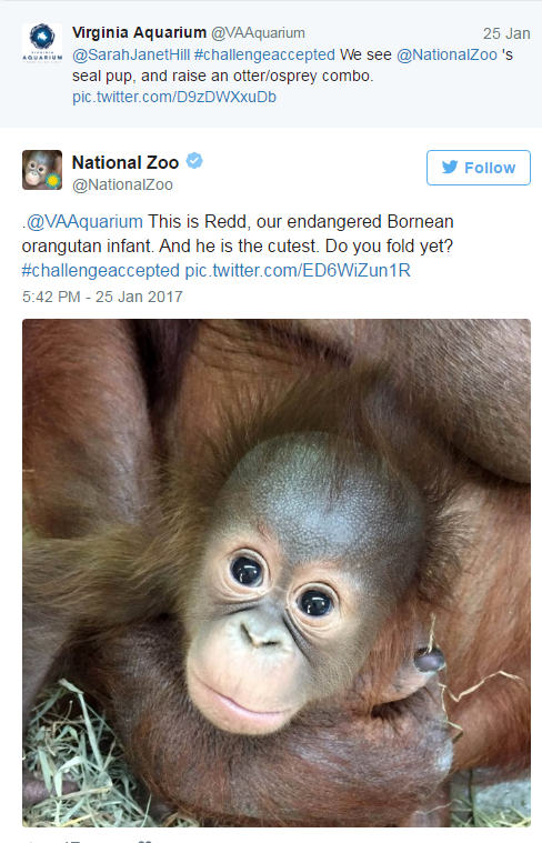 Αυτά τα νεογέννητα, έβαλαν το twitter σε έναν ιδιαίτερο διαγωνισμό!