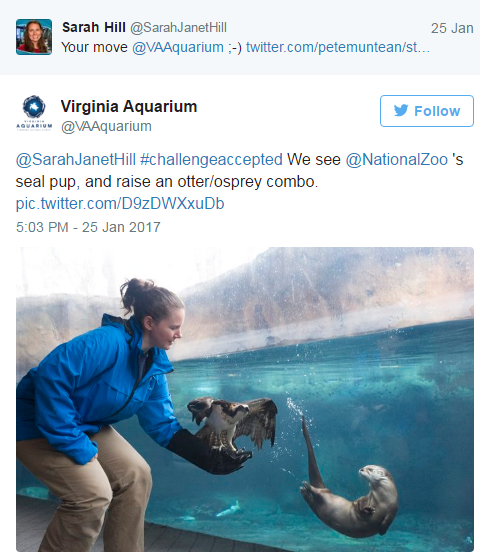 Αυτά τα νεογέννητα, έβαλαν το twitter σε έναν ιδιαίτερο διαγωνισμό!