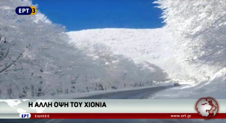 Η άλλη όψη του χιονιά…(video)