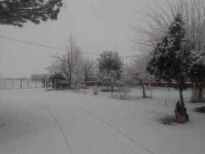 avli-chionia