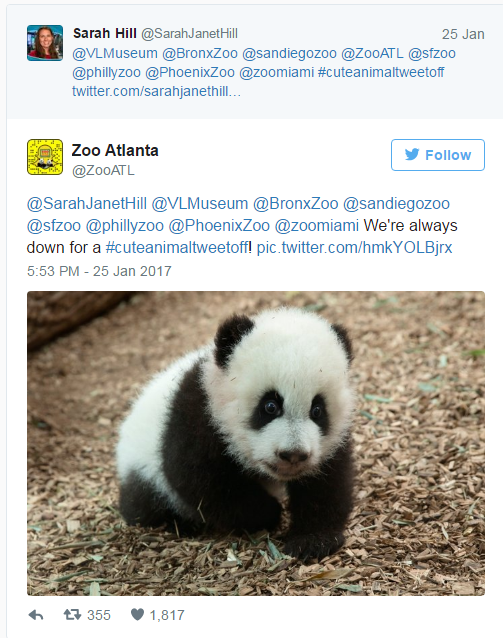 Αυτά τα νεογέννητα, έβαλαν το twitter σε έναν ιδιαίτερο διαγωνισμό!