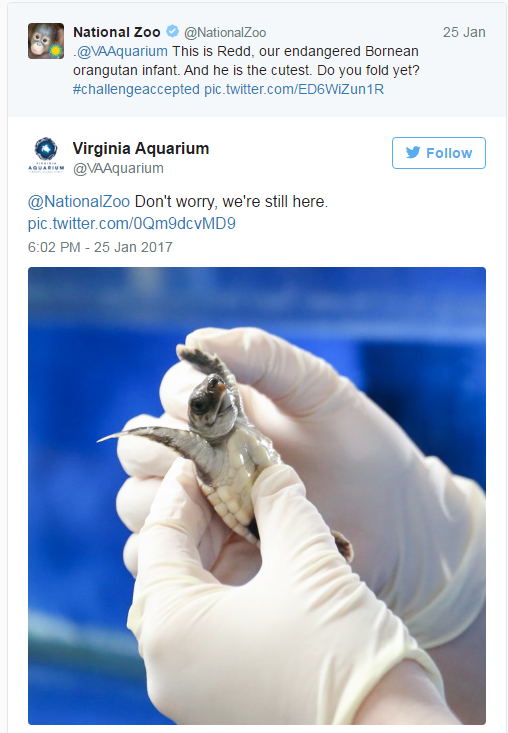 Αυτά τα νεογέννητα, έβαλαν το twitter σε έναν ιδιαίτερο διαγωνισμό!