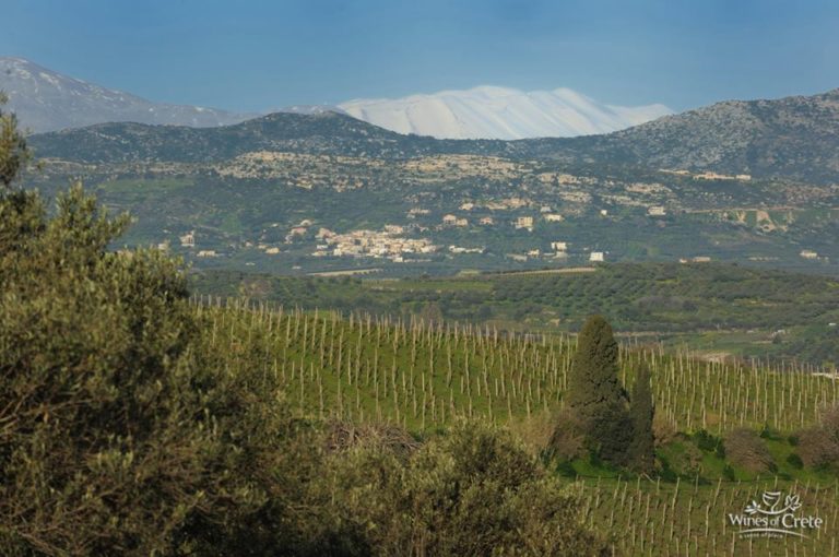 Τα Οινοτικά 2017 στο Ηράκλειο Κρήτης (video)