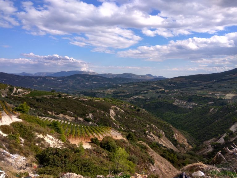 Τα Κρασιά της Πελοποννήσου, έρχονται την Κυριακή 19 Φεβρουαρίου στην Αθήνα