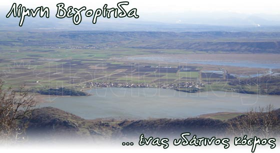 Αμύνταιο: Απαγόρευση αλιείας τούρνας στη Λίμνη Βεγορίτιδα