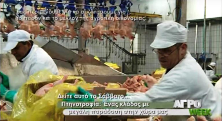 «ΑΓΡΟweek» στην ΕΡΤ3: Πτηνοτροφία (trailer)