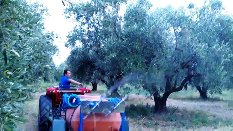 Για τρία χρόνια η ανάθεση της δακοκτονίας
