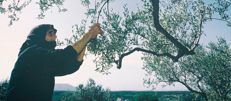 Ηράκλειο: Ιδρύεται Κέντρο Καινοτόμου Αγροδιατροφικής Επιχειρηματικότητας