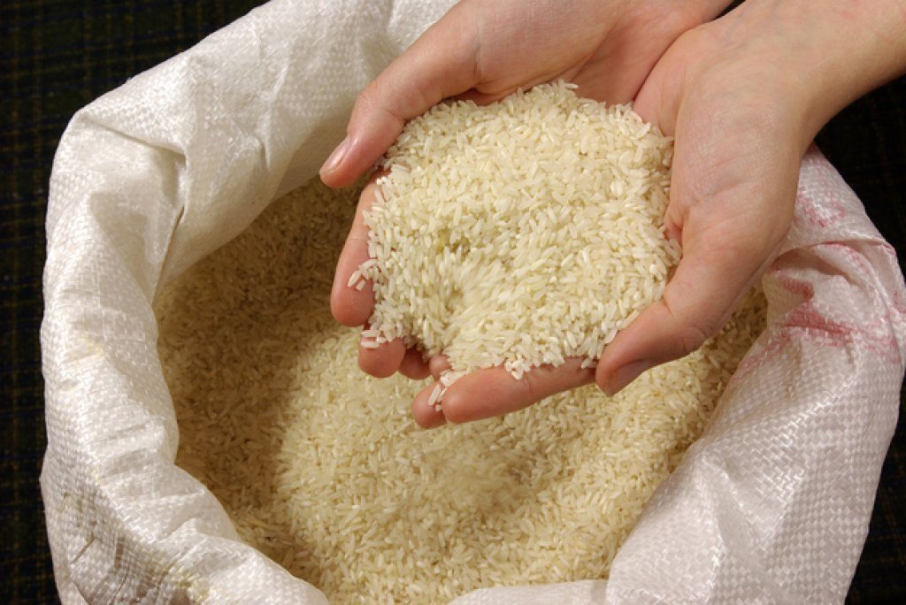 Σέρρες: Μείωση καλλιέργειας ρυζιού αποφάσισαν οι παραγωγοί