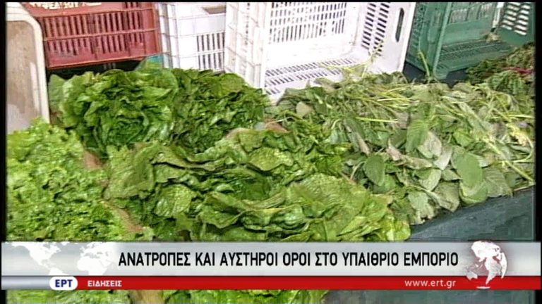Φρένο στο καρτέλ πάγκων και τους ψευτοπαραγωγούς στις λαϊκές αγορές (video)