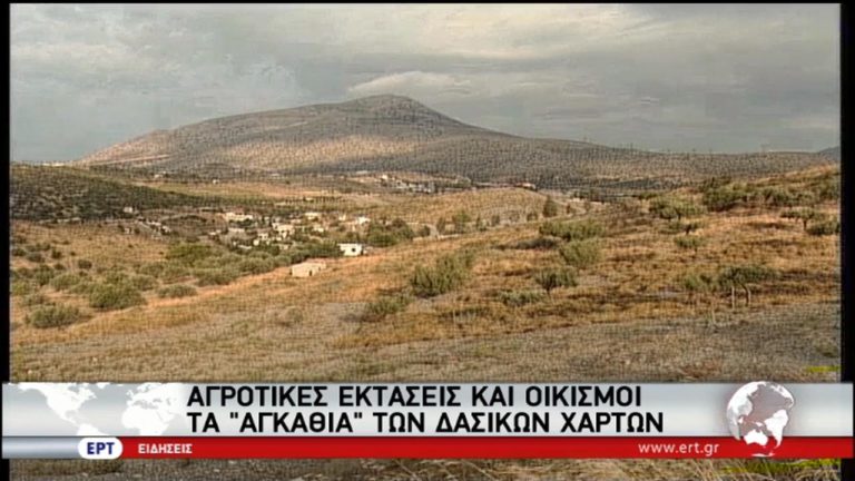 Αγροτικές εκτάσεις και οικισμοί τα “αγκάθια” των δασικών χαρτών (video)