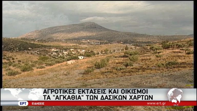 Αγροτικές εκτάσεις και οικισμοί τα “αγκάθια” των δασικών χαρτών (video)