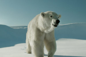 thumbnail_two-lovers-and-a-bear
