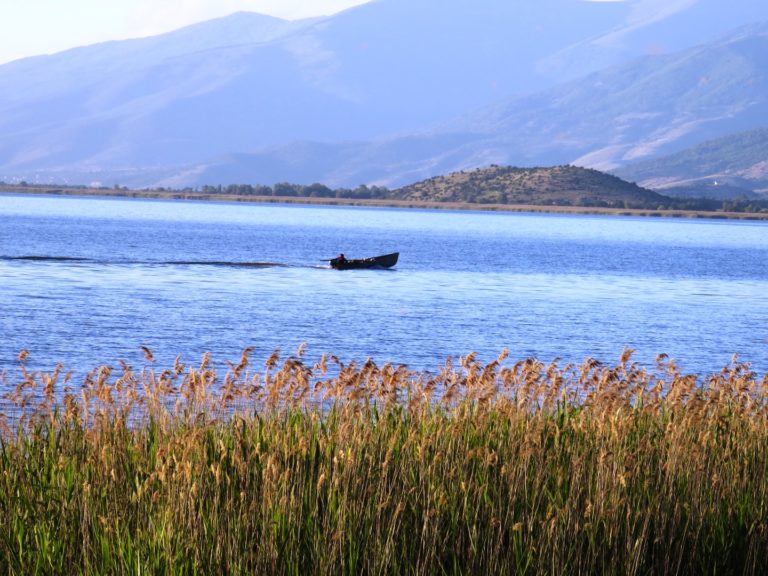 Γιορτή φασολιού και τσιρονιού στις Πρέσπες