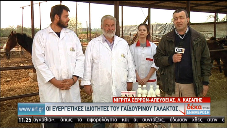 Οι ευεργετικές ιδιότητες του γαϊδουρινού γάλακτος (video)