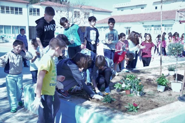 Βόλος: Δράση δενδροφύτευσης στο 13ο Δημοτικό Σχολείο