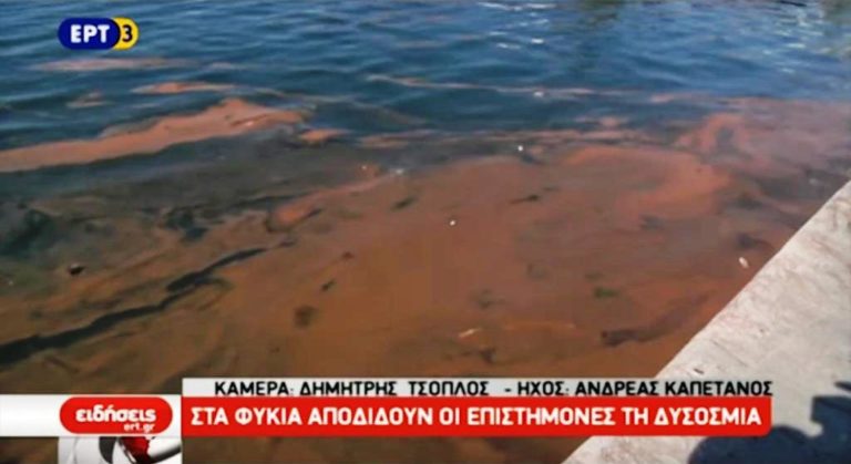 Δυσάρεστη οσμή σήμερα στη Θεσσαλονίκη (video)
