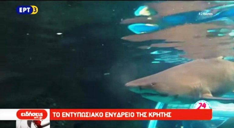 Η ΕΡΤ3 στο ενυδρείο της Κρήτης (video)