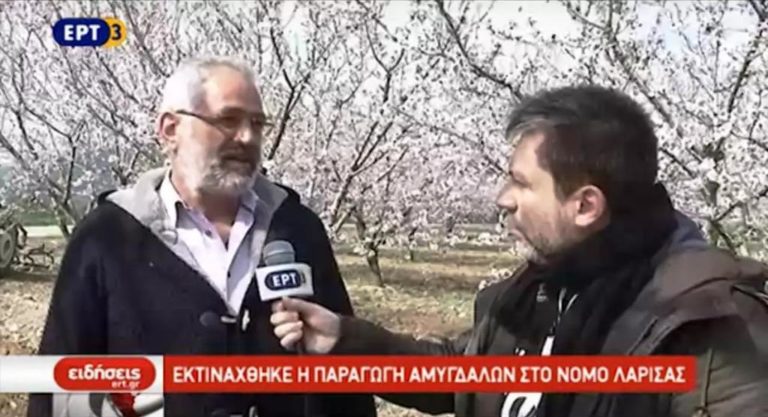 Αυξημένη η παραγωγή αμύγδαλου στη Λάρισα (video)