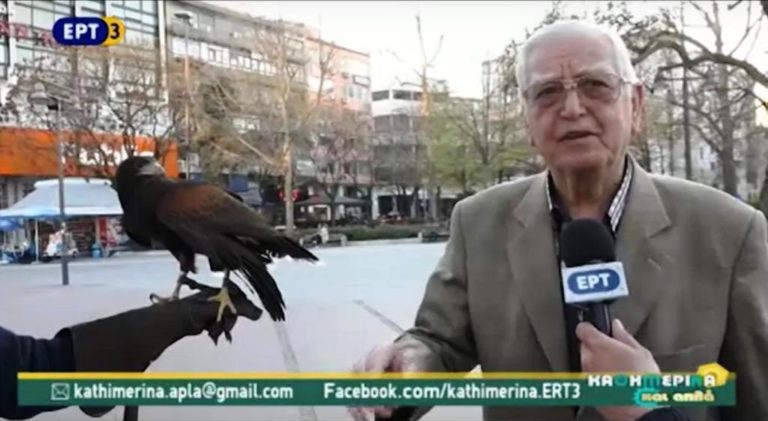 Το γεράκι της Λάρισας (video)