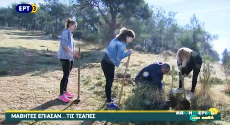 Μαθητές φύτεψαν δέντρα στο Σέιχ Σου (video)