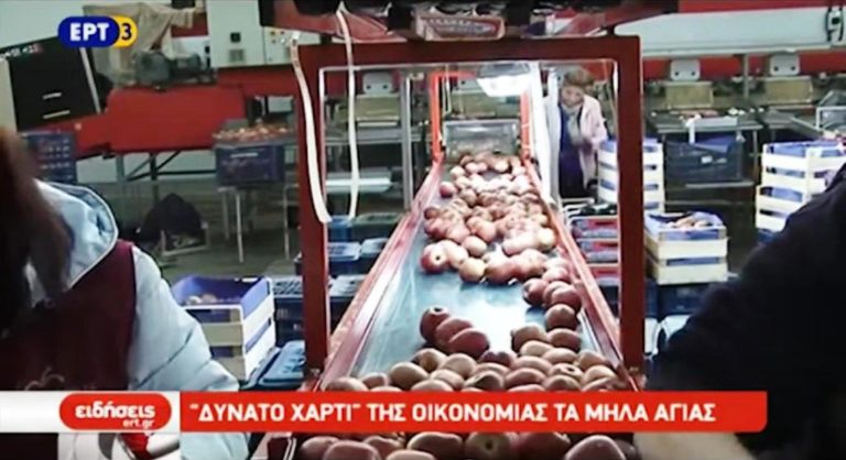 Τα μήλα Αγιάς δυνατό χαρτί της τοπικής οικονομίας (video)