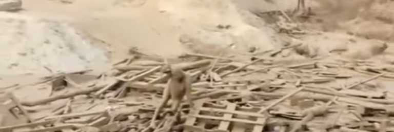 Περού: Καταστροφικές πλημμύρες και συγκλονιστικές διασώσεις (video)