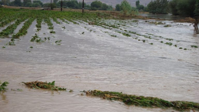 5.000 στρέμματα “πνίγηκαν” στο Καλαμάκι Λάρισας